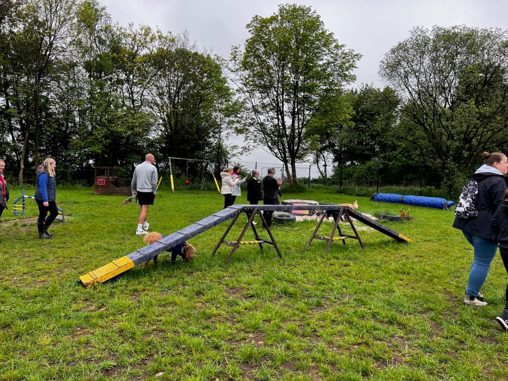 Party like a Cockapoo Scotland Dog Event (Glenrothes) 2023 – Kris Munro